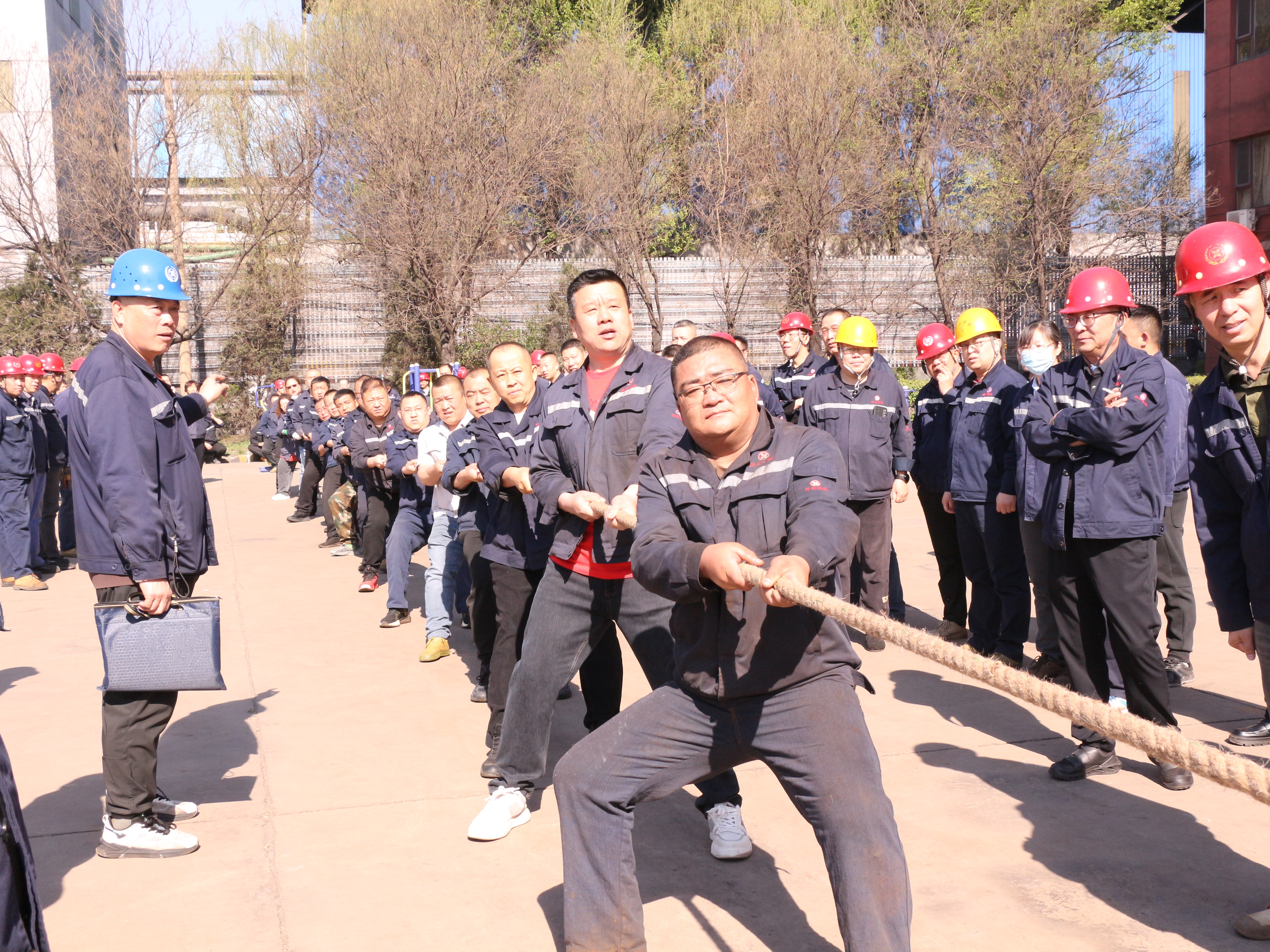 微信图片_20260430145216_3291_363.jpg